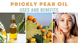Prickly pear oil benefits for glowing, hydrated skin